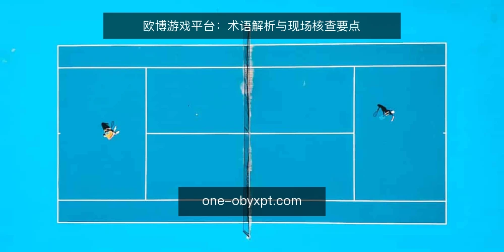 欧博游戏平台：术语解析与现场核查要点 — 信号观察：哪些迹象值得留意 配图