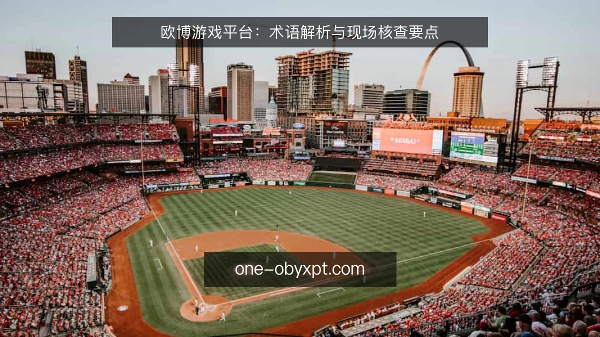 欧博游戏平台：术语解析与现场核查要点