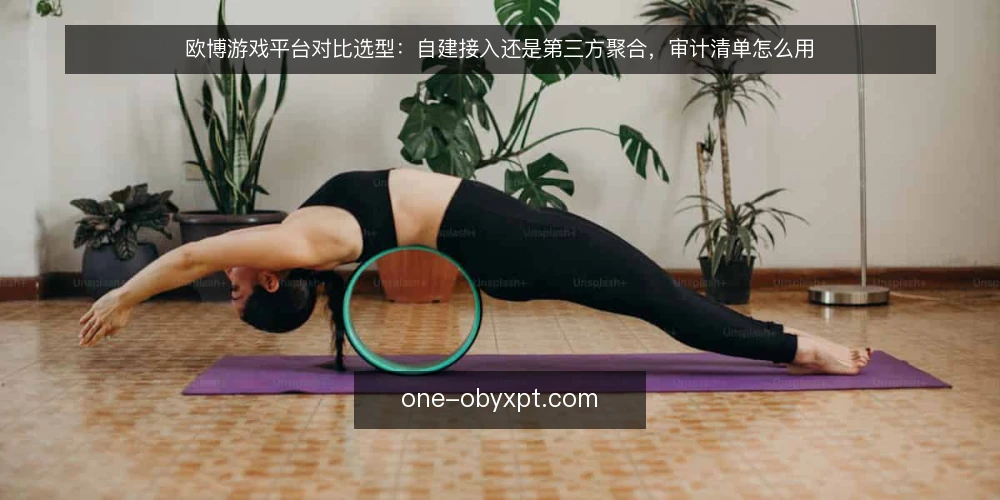 欧博游戏平台对比选型:自建接入还是第三方聚合,审计清单怎么用 — 为什么现在要做一次选型审计 配图