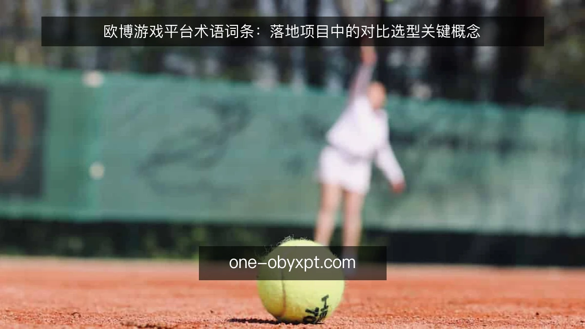 欧博游戏平台术语词条：落地项目中的对比选型关键概念