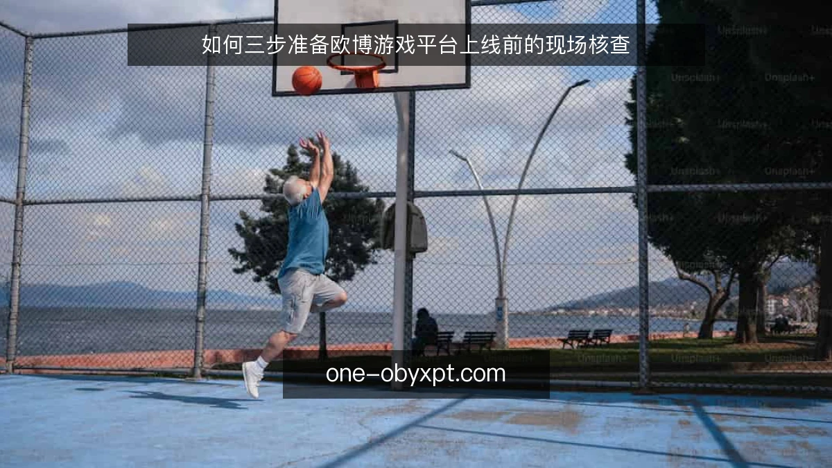如何三步准备欧博游戏平台上线前的现场核查